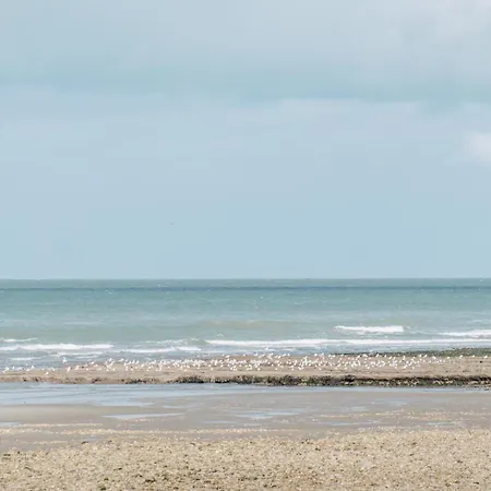 דירה Rose Mer, A 20 Metres De La Avec Parking Prive Et Balcon, Animal Accepte *