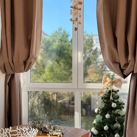 Appartement Rose Mer, A 20 Metres De La Avec Parking Prive Et Balcon, Animal Accepte *